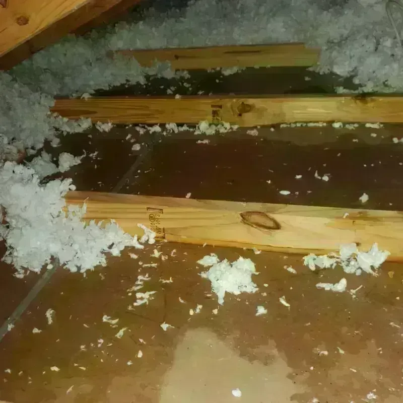 Attic Water Damage in Richland Hills, TX